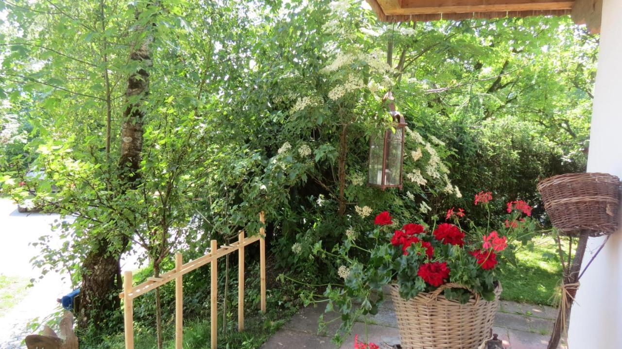 Landhaus Am Arzbach باد تولز المظهر الخارجي الصورة